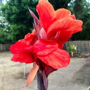 Meet your Posher, Virginia